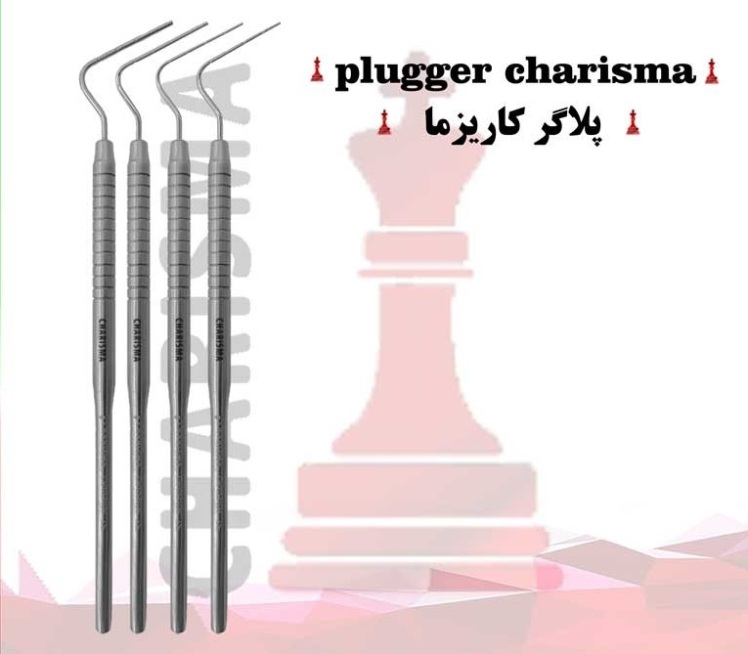 ست پلاگر کاریزما Charisma