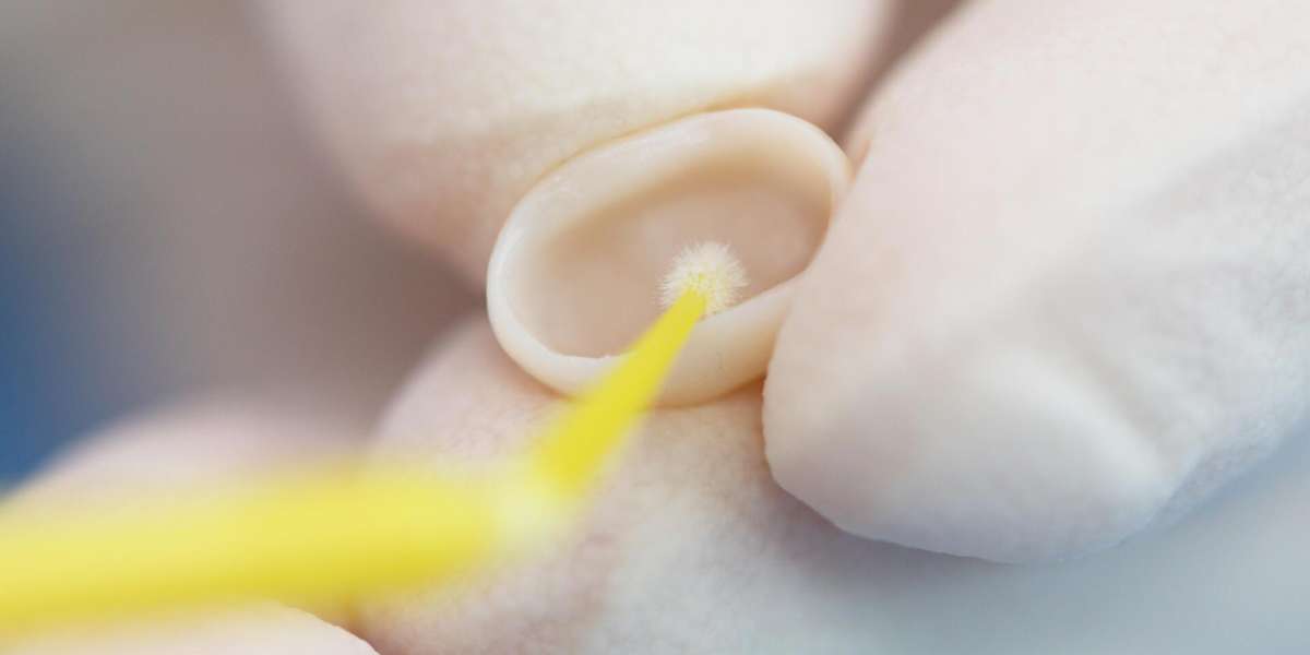 پرایمر دندان